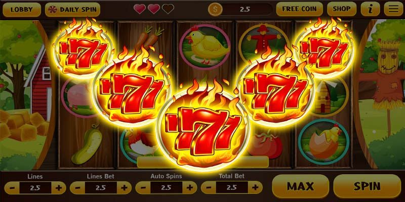 5hbet con